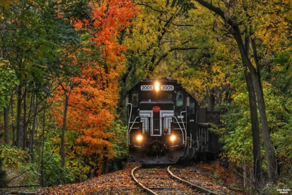 western-new-york-fall-color-train